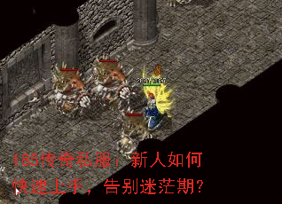 185����˽����������ο������֣������ã�ڣ�