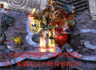 176�ϻ�����������ο������֣��ư��귨��½��������