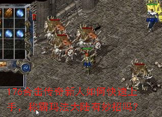 176�ϻ�����������ο������֣��ư��귨��½��������