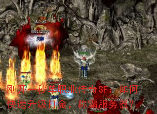 刚开一秒单职业传奇SF:如何快速升级打金,称霸服务器? 刚开一秒单职业传奇SF:如何快速升级打金,称霸服务器?
