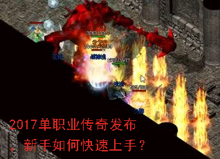 2017��ְҵ���淢����������ο������֣�