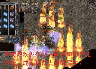 ������Ϸ��������������ο�����������Ϊ�귨��½�İ�����