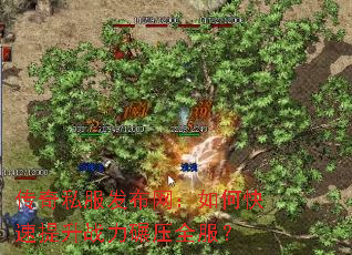 ����˽������������ο�������ս����ѹȫ����