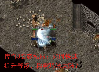 传奇3变态私服:如何快速提升等级,称霸玛法大陆? 传奇3变态私服:如何快速提升等级,称霸玛法大陆?
