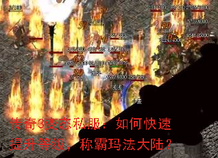传奇3变态私服:如何快速提升等级,称霸玛法大陆? 传奇3变态私服:如何快速提升等级,称霸玛法大陆?