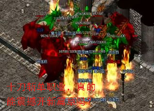 ʮ��ն��ְҵ��������𺳿���ƪ����