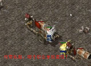 ����˽�����ĸ�ְҵ������ǿ��