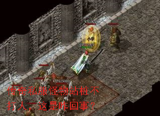 传奇私服怪物站桩不打人,这是咋回事? 传奇私服怪物站桩不打人,这是咋回事?