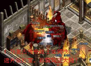 1.76���Ŵ���սʿ��ο��������򱦣��ư��귨��½��