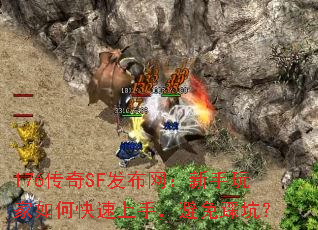 176����SF�����������������ο������֣�����ȿӣ�