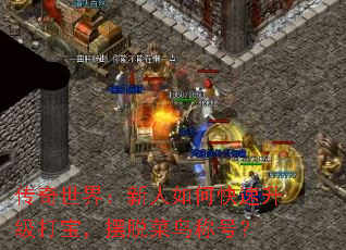 传奇世界:新人如何快速升级打宝,摆脱菜鸟称号? 传奇世界:新人如何快速升级打宝,摆脱菜鸟称号?