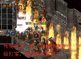 传奇世界:新人如何快速升级打宝,摆脱菜鸟称号? 传奇世界:新人如何快速升级打宝,摆脱菜鸟称号?