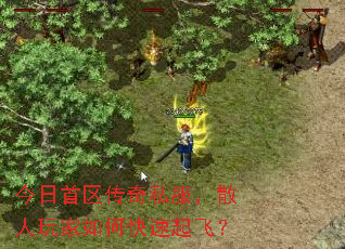 ������������˽����ɢ�������ο�����ɣ�