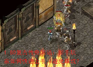 1.80���Ŵ�����վ�����������ο������֣�����ȿӣ�