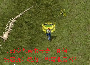 1.80��̬�ϻ����棺��ο�������ս�����ưԷ�������