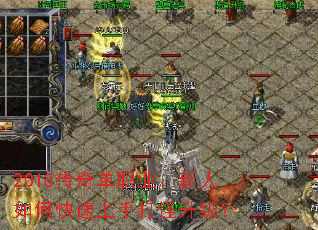 2018���浥ְҵ��������ο������ִ��������