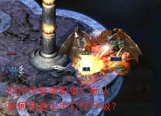 2018���浥ְҵ��������ο������ִ��������