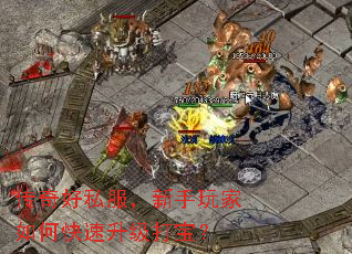 �����˽�������������ο��������򱦣�