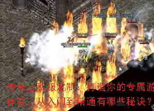 ������˽�����ƣ��������ר����Ϸ���飬�����ŵ���ͨ����Щ�ؾ���