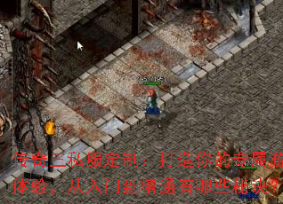 ������˽�����ƣ��������ר����Ϸ���飬�����ŵ���ͨ����Щ�ؾ���