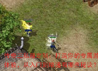 ������˽�����ƣ��������ר����Ϸ���飬�����ŵ���ͨ����Щ�ؾ���