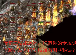 ������˽�����ƣ��������ר����Ϸ���飬�����ŵ���ͨ����Щ�ؾ���