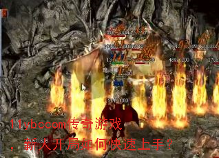 11ybccom������Ϸ�����˿�����ο������֣�