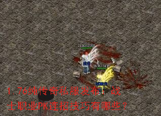 1.76������˽��������սʿְҵPK���м�������Щ��