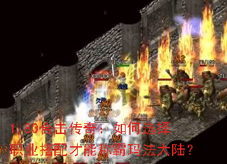 1.80�ϻ����棺���ѡ��ְҵ������ܳư��귨��½��