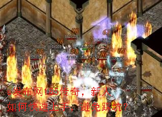 s������185���棬������ο������֣�����ȿӣ�