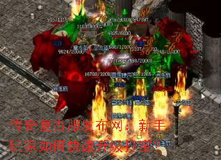 传奇复古服发布网:新手玩家如何快速升级打宝? 传奇复古服发布网:新手玩家如何快速升级打宝?