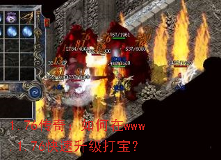 1.76���棺�����www.1.76���������򱦣�