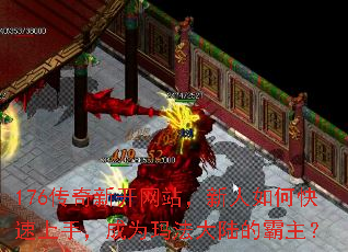 176�����¿���վ��������ο������֣���Ϊ�귨��½�İ�����