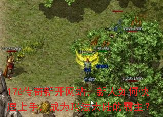 176�����¿���վ��������ο������֣���Ϊ�귨��½�İ�����