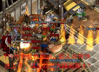 176�����¿���վ��������ο������֣���Ϊ�귨��½�İ�����