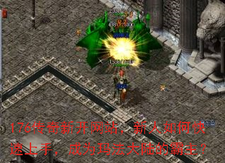 176�����¿���վ��������ο������֣���Ϊ�귨��½�İ�����