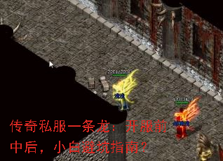 ����˽��һ����������ǰ�к�С�ױܿ�ָ�ϣ�