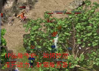 IP˽�����棺��ο�������ս�����ưԷ�������