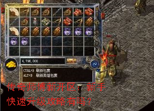 ����ʦ���¿��������ֿ���������������