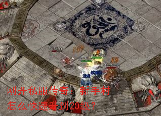 刚开私服传奇:新手村怎么快速升到20级? 刚开私服传奇:新手村怎么快速升到20级?