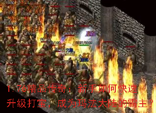 1.76��Ʒ���棺������ο��������򱦣���Ϊ�귨��½�İ�����