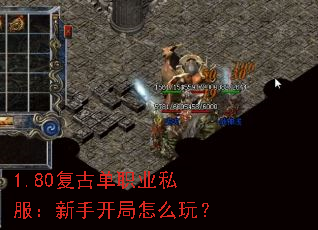 1.80���ŵ�ְҵ˽�������ֿ�����ô�棿