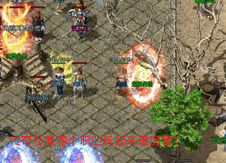 传奇私服哪个职业玩起来最厉害? 传奇私服哪个职业玩起来最厉害?