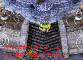 999sf������վ������սʿְҵ��ο��������ȼ���