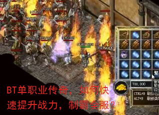 BT��ְҵ���棬��ο�������ս�����ư�ȫ����