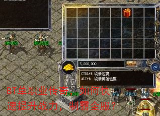 BT��ְҵ���棬��ο�������ս�����ư�ȫ����