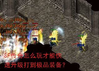 SF������ô����ܿ��������򵽼�Ʒװ����