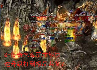 SF������ô����ܿ��������򵽼�Ʒװ����