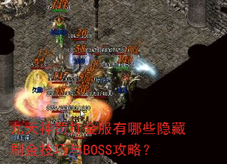 �����񷣴�������Щ����ˢ������BOSS���ԣ�