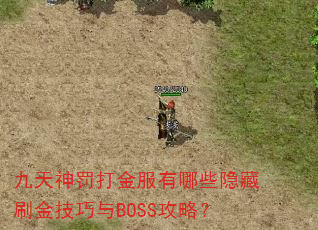 �����񷣴�������Щ����ˢ������BOSS���ԣ�